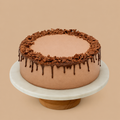 Chocolate ice cream cake with ganache drip and chocolate curls